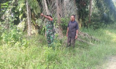 Babinsa Kodim 0310/Pbr Himbau Masyarakat Tidak Membakar lahan Saat Musim Kemarau