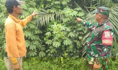 Babinsa Kodim 0301/Pbr Lakukan Patroli Rutin Guna Cegah Karhutla