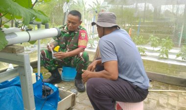 Berikan Motivasi,Babinsa Kodim Kunjungi Petani Melon Hidroponik
