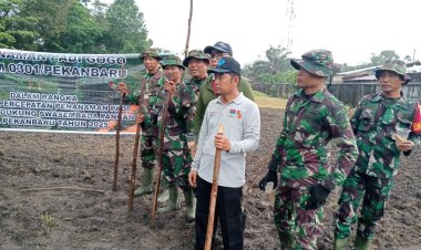 Babinsa Kodim 0301/Pbr ikut Serta Penanaman Padi Gogo  di Sialang Mungu