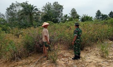 Memasuki Musim Kemarau,Babinsa Kodim 0301/Pbr Tingkatkan Patroli Karhutla