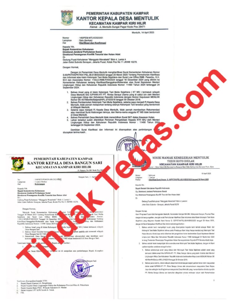 Demi Kepentingan Anak Kemenakan,Ninik Mamak Mentulik Surati Kementerian LHK Soal Sengketa Kawasan Hutan