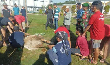Bantu Amankan Korban di Lapas, Komitmen Nyata Kodim 0301/Pbr Jaga Peradapan
