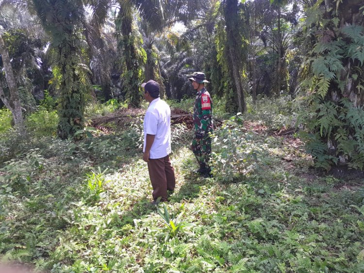Babinsa Kodim 0301/Pbr optimalkan pencegahan Karhutla