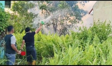 Aksi Heroik Kasat Reskrim Polres Kampar Tangkap Pelaku Karhutla Dan Padamkan Api Dekat Perumahan