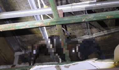 Langkah Cepat Satreskrim Polres Kampar Ungkap Identitas Mayat di Gedung Mahligai Bungsu Bangkinang