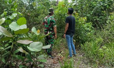 Bahaya Karhutla Masih Mengintai,Babinsa Kodim 0301/Pbr Terus Lakukan Antisipasi di Wilayah Binaan