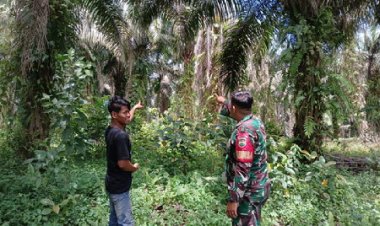 Babinsa Kodim 0301/Pbr Bersama MPA Sosialisasi dan Patroli Karhutla