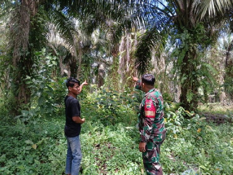 Babinsa Kodim 0301/Pbr Bersama MPA Sosialisasi dan Patroli Karhutla