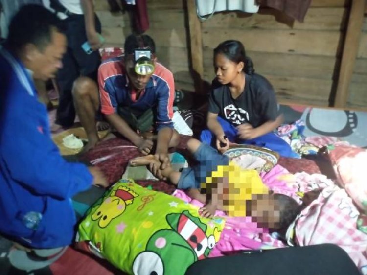 Bocah di Siak Diterkam HArimau Saat Sedang Tertidur di Dalam Kamar