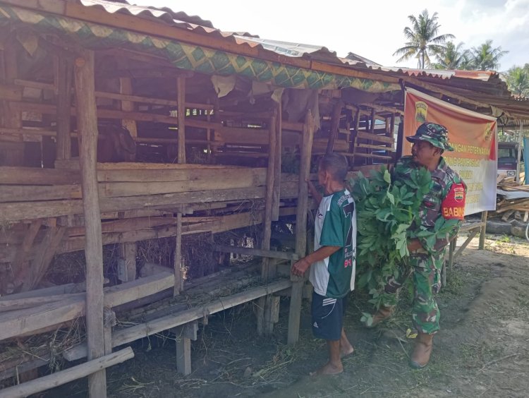 Kodim 0301/Pbr Gencar Bangun Ketahanan Pangan di Kampung Pancasila