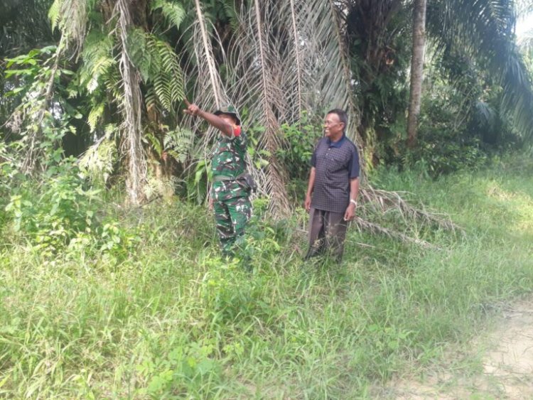 Babinsa Kodim 0310/Pbr Himbau Masyarakat Tidak Membakar lahan Saat Musim Kemarau