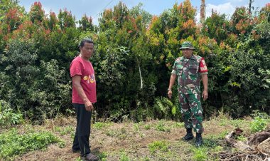 Babinsa Kodim 0301/Pbr Gencarkan Patroli Guna Cegah Karhutla