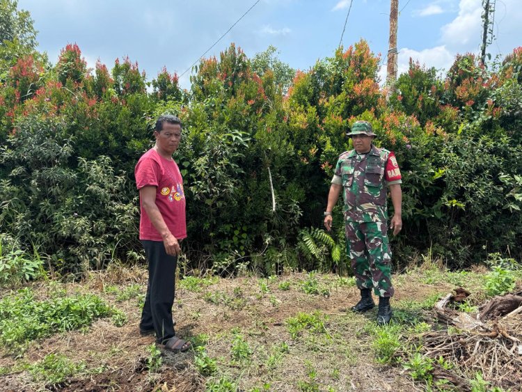 Babinsa Kodim 0301/Pbr Gencarkan Patroli Guna Cegah Karhutla
