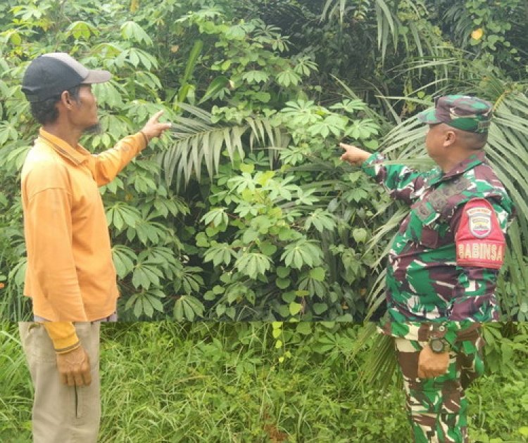 Babinsa Kodim 0301/Pbr Lakukan Patroli Rutin Guna Cegah Karhutla