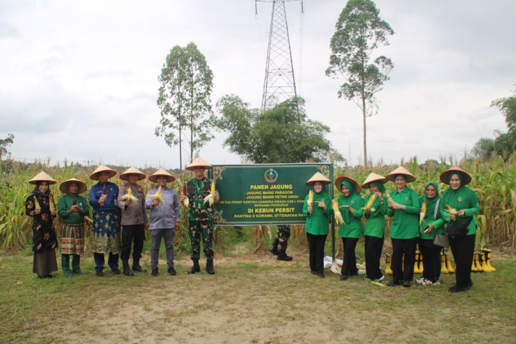 Dandim 0301/Pbr Bersama Ketua Persit Panen Jagung dan Jumat Berkah Bagikan Sembako Kepada Warga