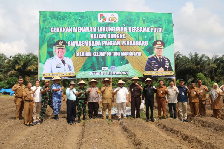 Kasdim 0301/Pbr Hadiri Penanaman Jagung Pipil Porli Dalam Rangka Wujudkan Swasembada Pangan