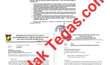 Demi Kepentingan Anak Kemenakan,Ninik Mamak Mentulik Surati Kementerian LHK Soal Sengketa Kawasan Hutan