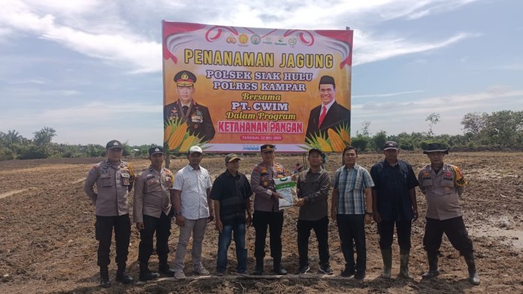 Polsek Siak Hulu dan PT. CWIM Tanam Jagung, Dukung Ketahanan Pangan Nasional