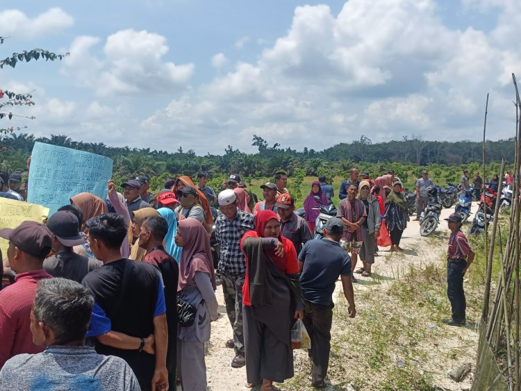 Kelompok Tani 3 Desa Desak PT Agrinas Hentikan KSO Dengan Riau Jaya Makmur