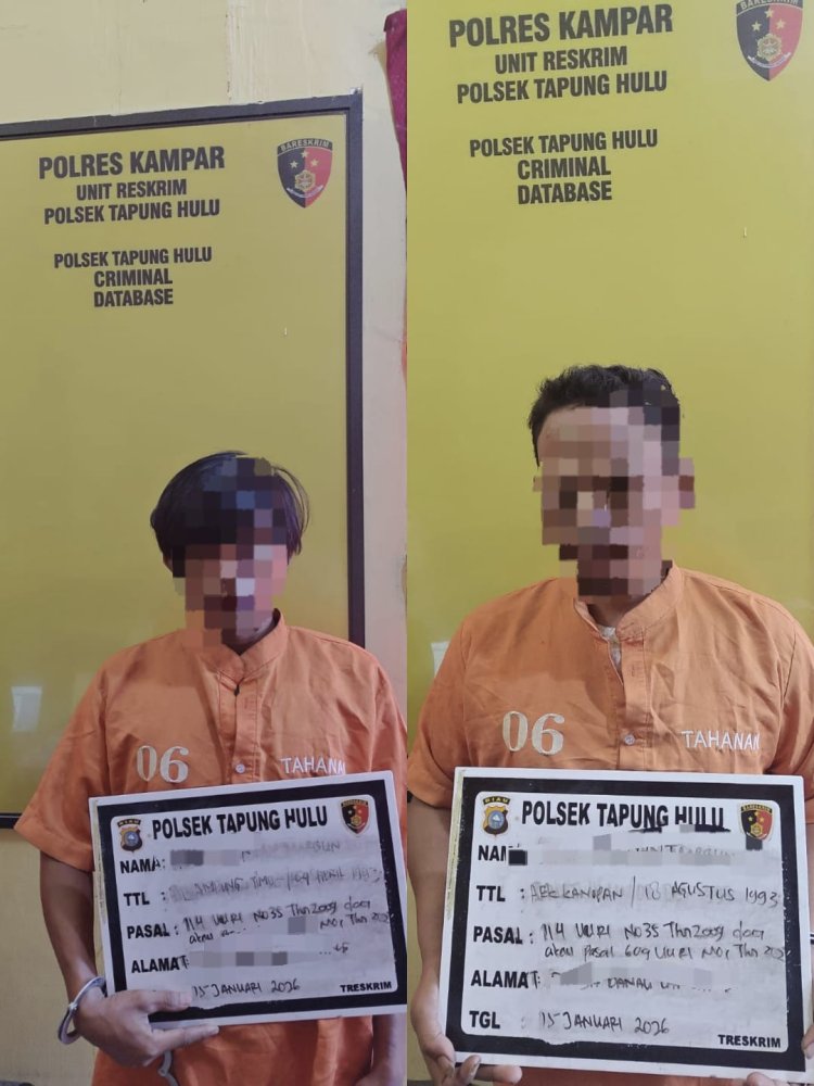 Polsek Tapung Hulu Tangkap Dua Pelaku Narkoba di Dalam Gubuk