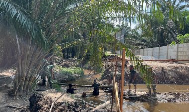 Dari Pembersihan Lahan hingga Konstruksi, Kodim 0301/Pbr Terus kebut Pembangunan Jembatan Garuda