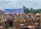 Dandim 0301/Pekanbaru Hadiri Panen Raya Jagung Serentak Kuartal II Tahun 2026