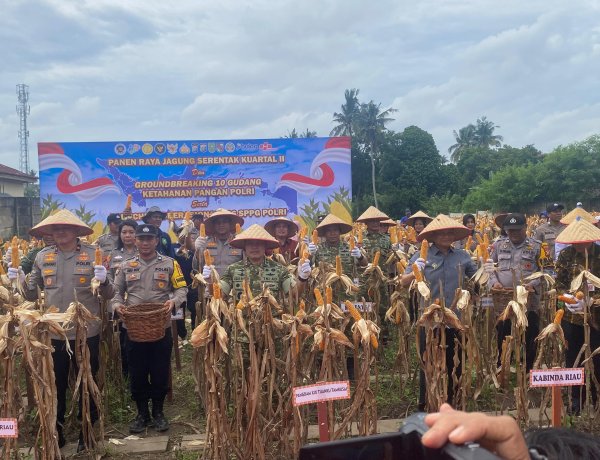 Dandim 0301/Pekanbaru Hadiri Panen Raya Jagung Serentak Kuartal II Tahun 2026