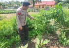 Kapolsek Singingi Terus Gencarkan Program Ketahanan Pangan