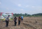 Polsek Kampar Kiri Kembali Tanam Jagung Kuartal III,Bentuk Nyata Sukseskan Asta Cita Presiden Prabowo