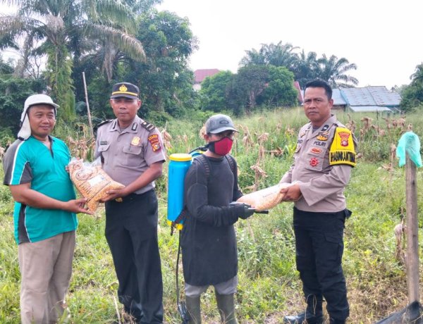 Polsek Kampar Kiri Bagikan Bibit Pangan Pada Poktan, Kolaborasi Jaga Ketahanan Pangan