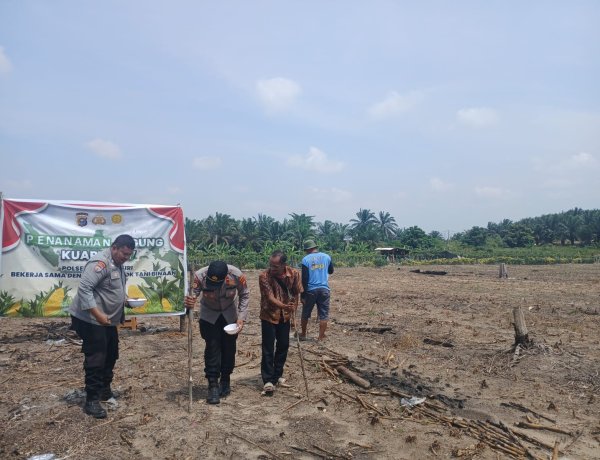Polsek Kampar Kiri Kembali Tanam Jagung Kuartal III,Bentuk Nyata Sukseskan Asta Cita Presiden Prabowo