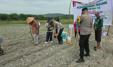 Polsek Kampar Kiri Bersama PT Surya Agro Sukses Sejahtera Melaksanakan Penanaman Jagung Di Desa Geringging