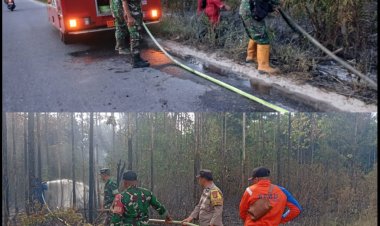 Kodim 0301/Pekanbaru Gerak Cepat Padamkan Karhutla di Dua Lokasi, 2,5 Hektare Lahan Terbaka