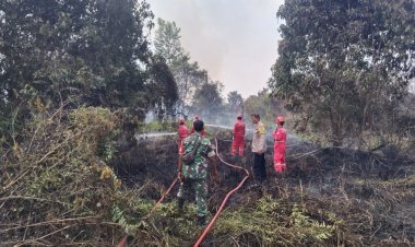 Tim Gabungan Padamkan Karhutla 3 Hektare di Rumbai, Api Berhasil Dikendalikan