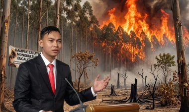 Ketum KMPKS tanaman eucalyptus memicu kebakaran dahsyat di Kalimantan