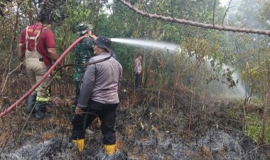 Sigap Cegah Karhutla, Koramil 05/Sail Bersama Tim Gabungan Padamkan Api di Kulim