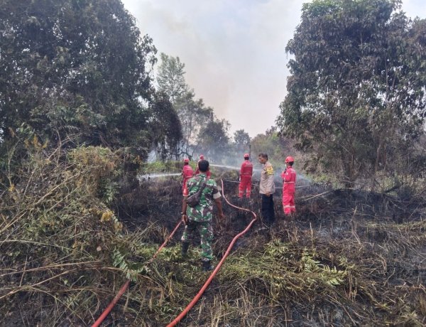 Tim Gabungan Padamkan Karhutla 3 Hektare di Rumbai, Api Berhasil Dikendalikan