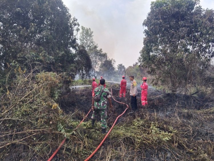 Tim Gabungan Padamkan Karhutla 3 Hektare di Rumbai, Api Berhasil Dikendalikan