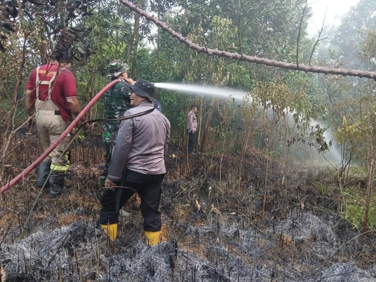 Sigap Cegah Karhutla, Koramil 05/Sail Bersama Tim Gabungan Padamkan Api di Kulim