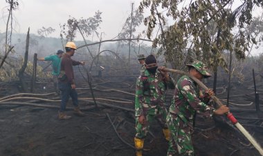 Kodam XIX/Tuanku Tambusai Hadapi Karhutla Gambut, Pemadaman Terus Diperkuat di 8 Titik